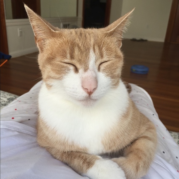 Meet your Posher, Natalie - Picture 1 of 1